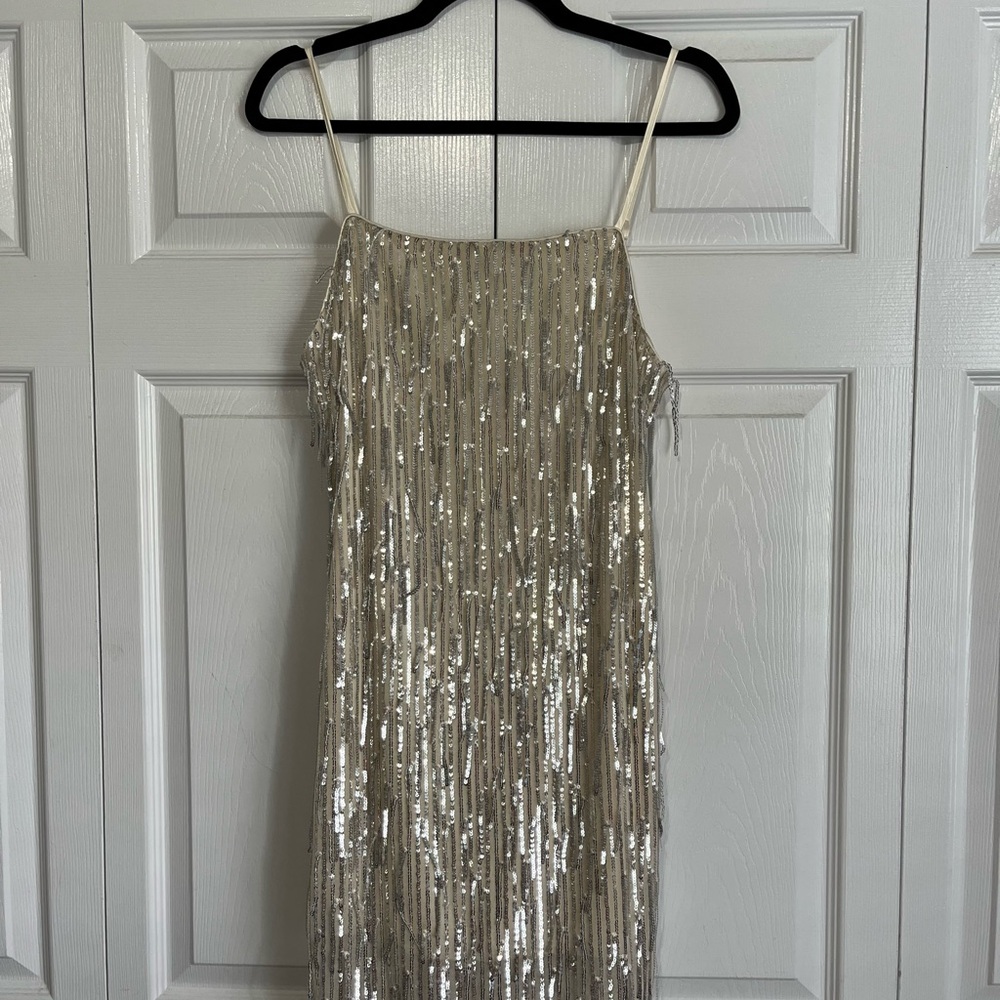 NWT Francesca's Sequin Fringe Dress by Blue Rain - Picture 4 of 8